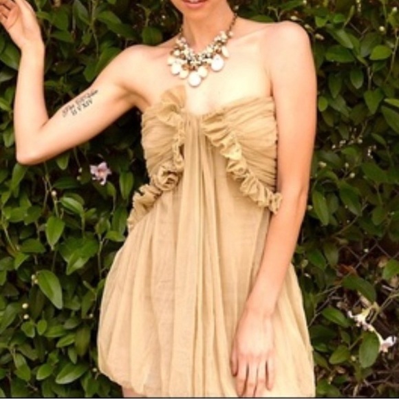 Elizabeth & James Tulle Chiffon Strapless Mini Dress. - Picture 3 of 10